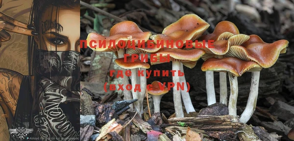 кокаин колумбия Лиски