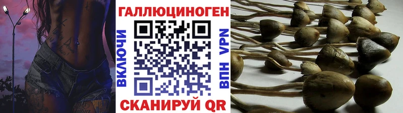 Галлюциногенные грибы Psilocybe  МЕГА маркетплейс  Сусуман 
